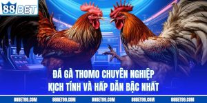 Đá Gà Thomo Chuyên Nghiệp Kịch Tính Và Hấp Dẫn Bậc Nhất