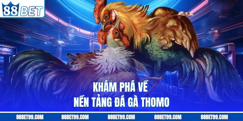 Khám phá về nền tảng đá gà Thomo