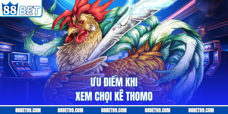 Ưu điểm khi xem chọi kê Thomo